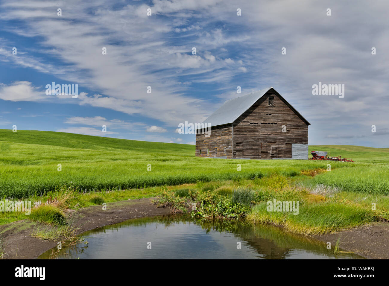 Grange en bois et étang dans champ de blé au nord de Genesee, Idaho Banque D'Images