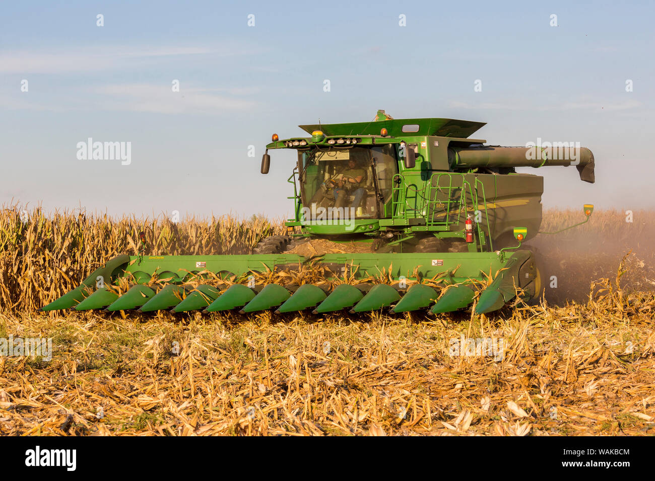 La récolte de maïs moissonneuse-batteuse John Deere. Marion Comté (Illinois). Banque D'Images