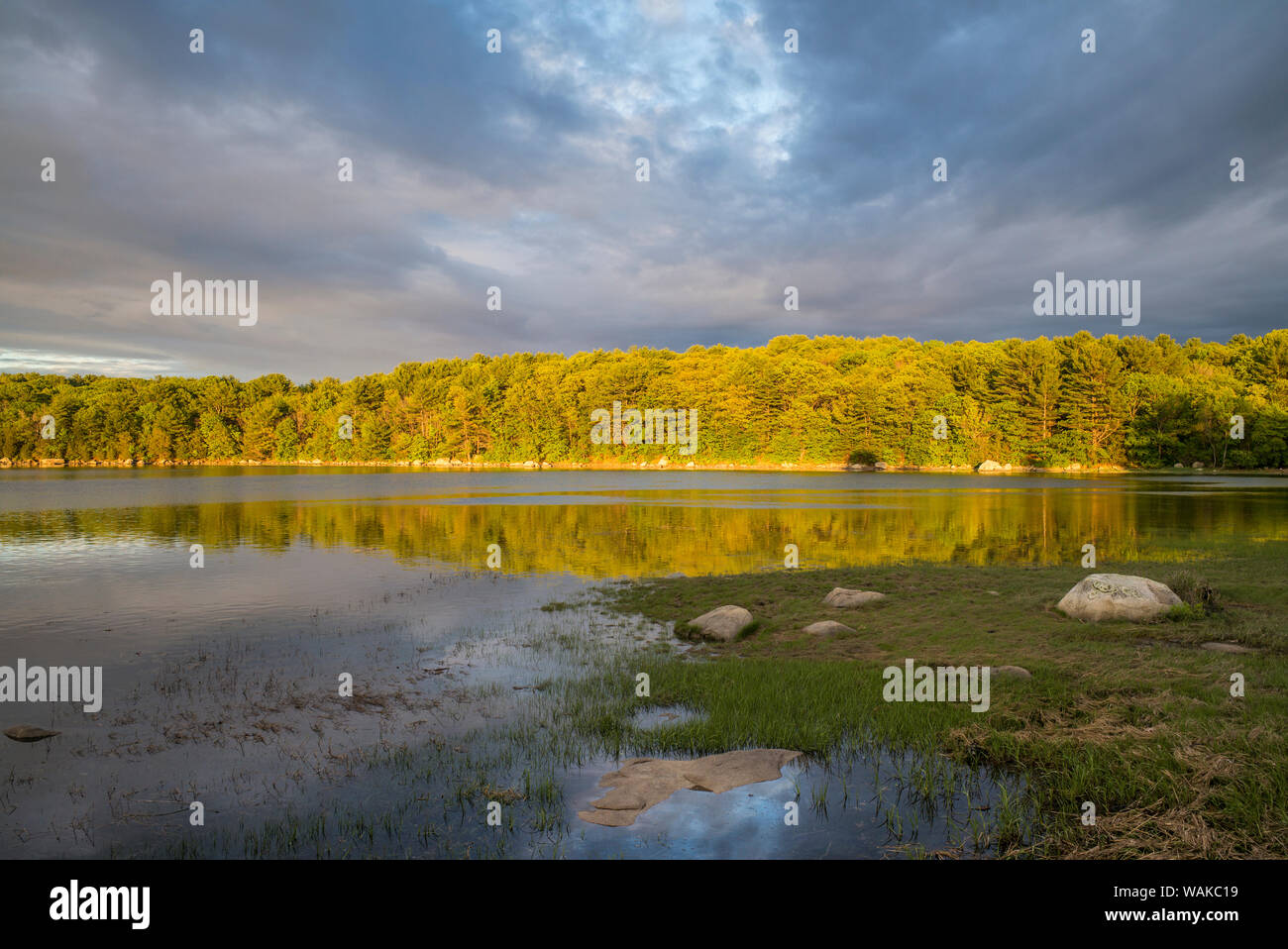 USA, Massachusetts, Cape Ann, Annisquam. Lumière d'été sur Goose Cove Banque D'Images