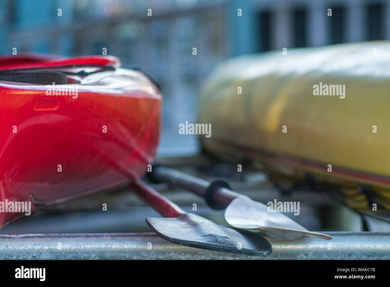 USA, Massachusetts, Cape Ann, Gloucester. Rocky Neck, kayaks Banque D'Images
