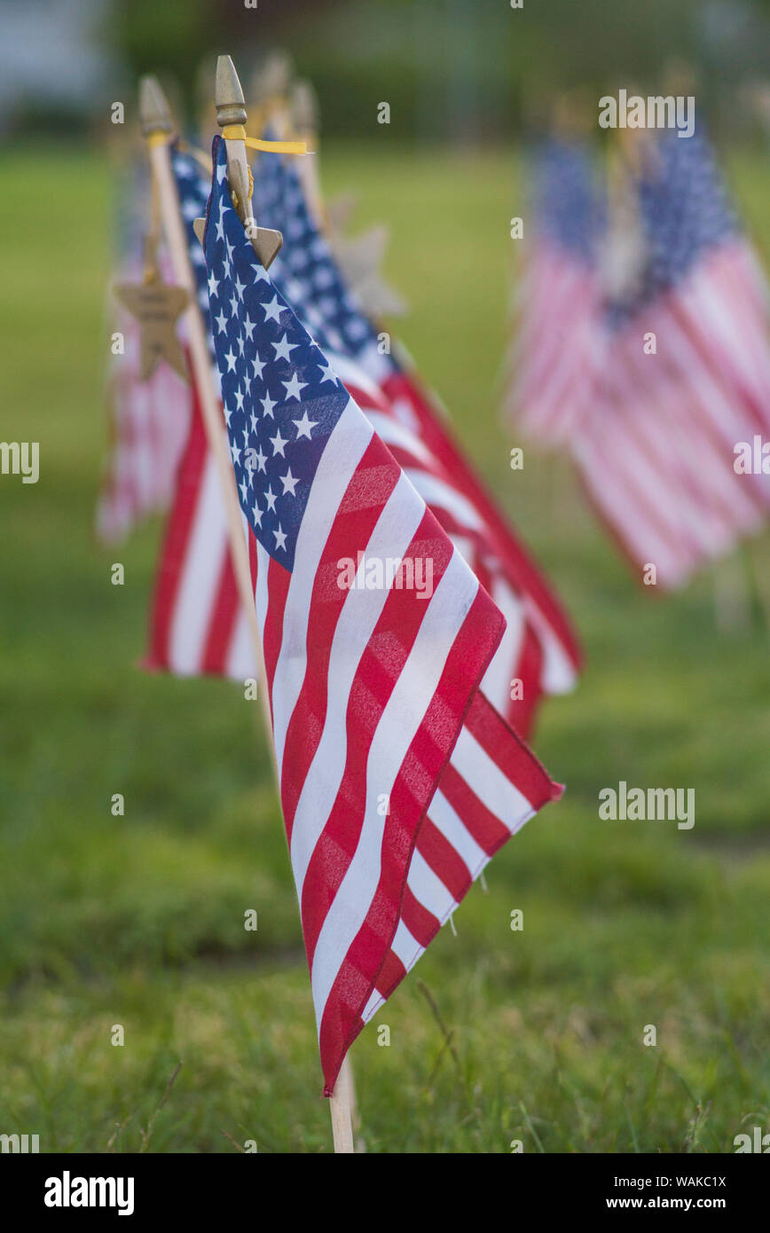 USA, Massachusetts, Cape Ann, Gloucester. Drapeaux américains Banque D'Images