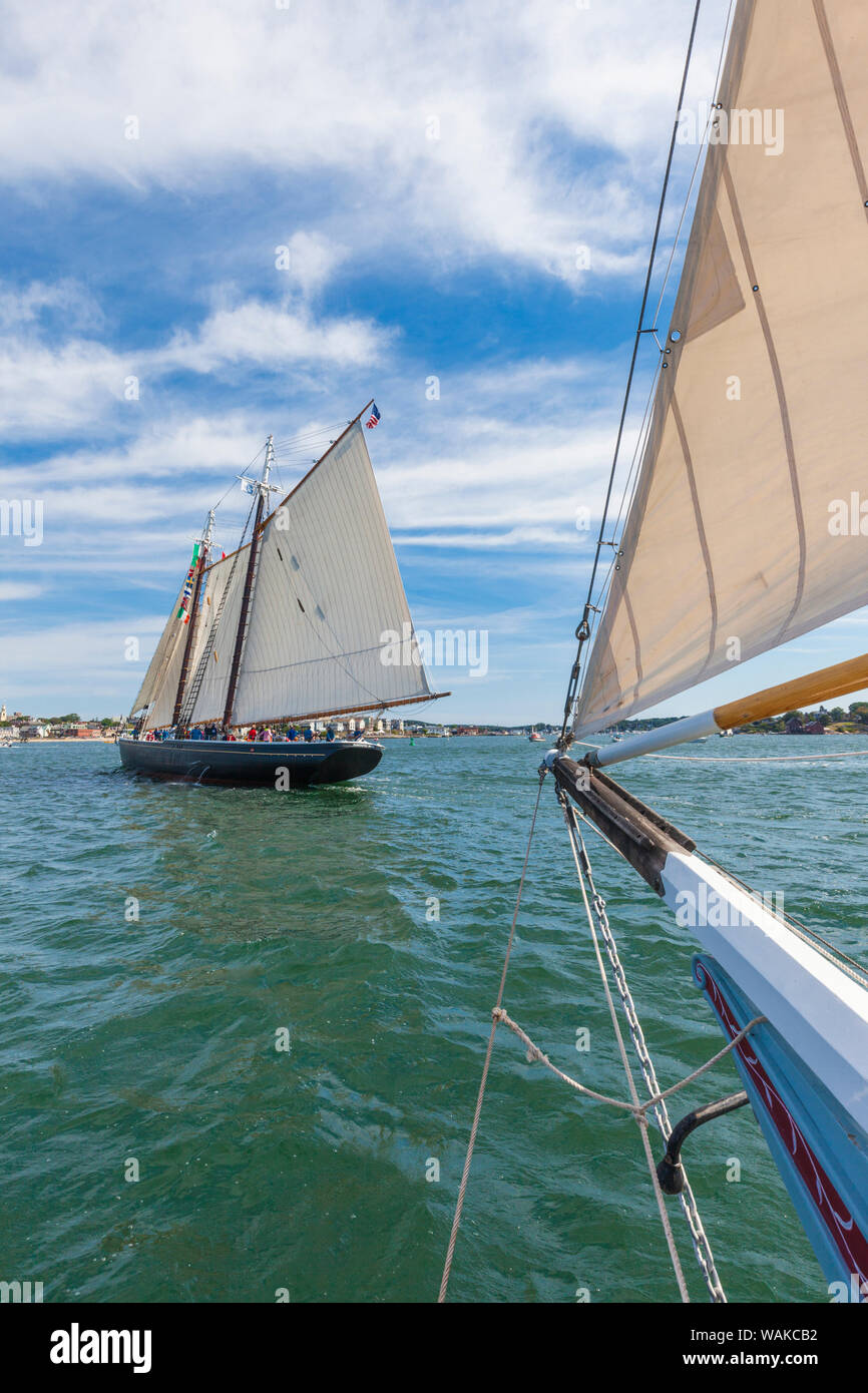 USA, Massachusetts, Cape Ann, Gloucester. Festival, les goélettes goélette Gloucester Banque D'Images