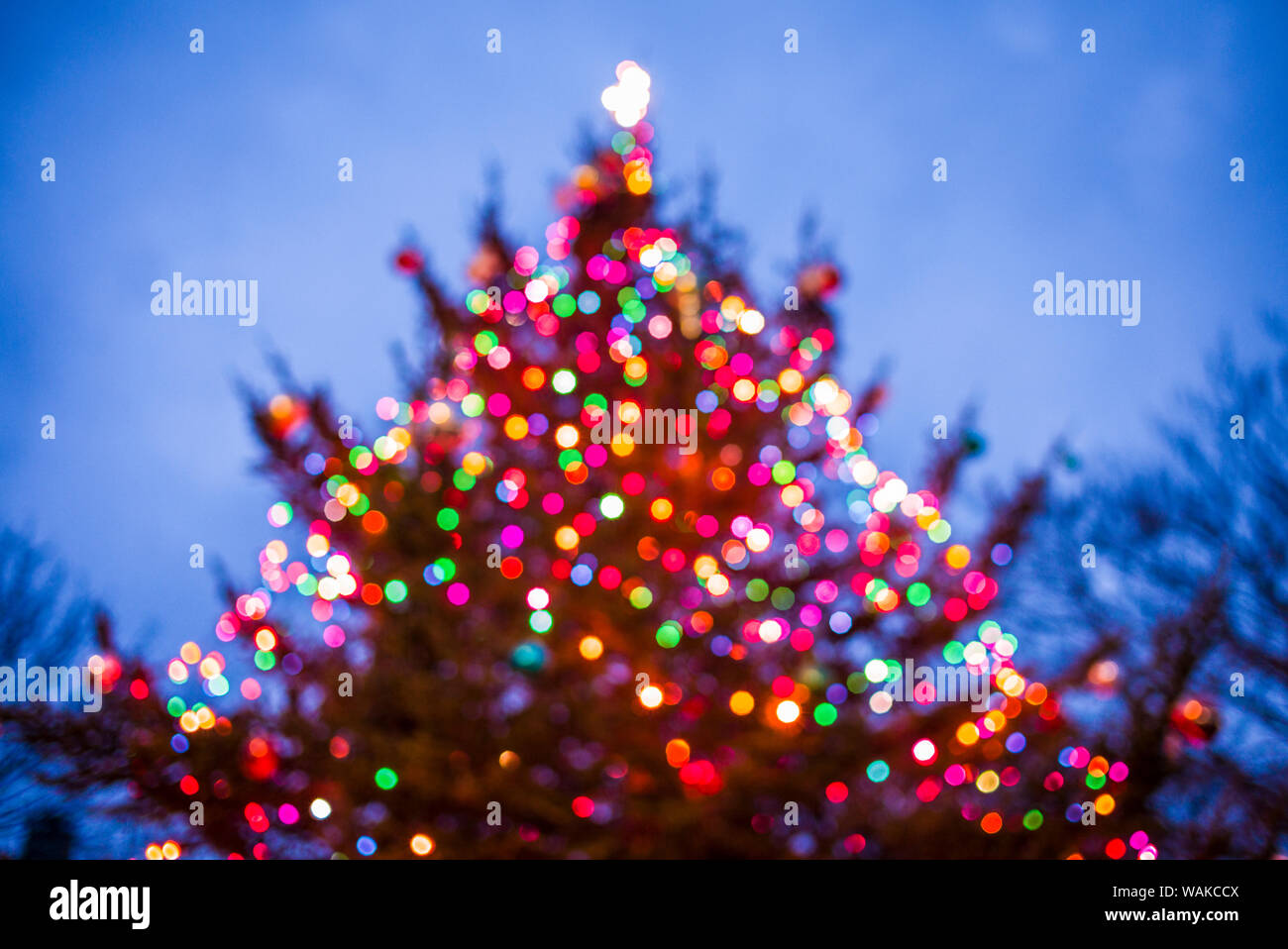 USA, Massachusetts, Cape Ann, Rockport. Defocused Christmas Tree Banque D'Images