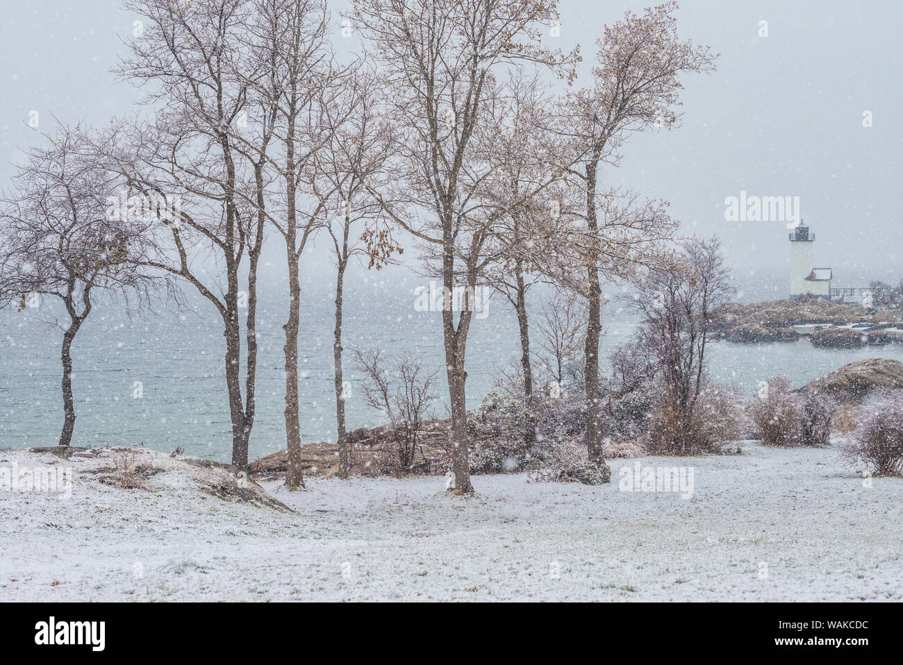 USA, Massachusetts, Cape Ann, Annisquam. L'hiver, Phare Annisquam Banque D'Images