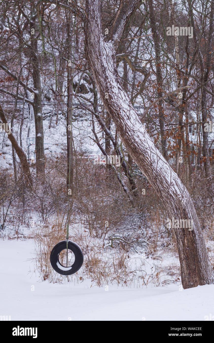USA, Massachusetts, Cape Ann, Annisquam. Balançoire pneu dans la neige, hiver Banque D'Images
