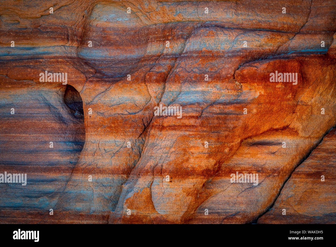 USA, Nevada, Overton, Vallée de Feu de stationnement. Formation de roche multicolores. En tant que crédit : Jay O'Brien / Jaynes Gallery / DanitaDelimont.com Banque D'Images
