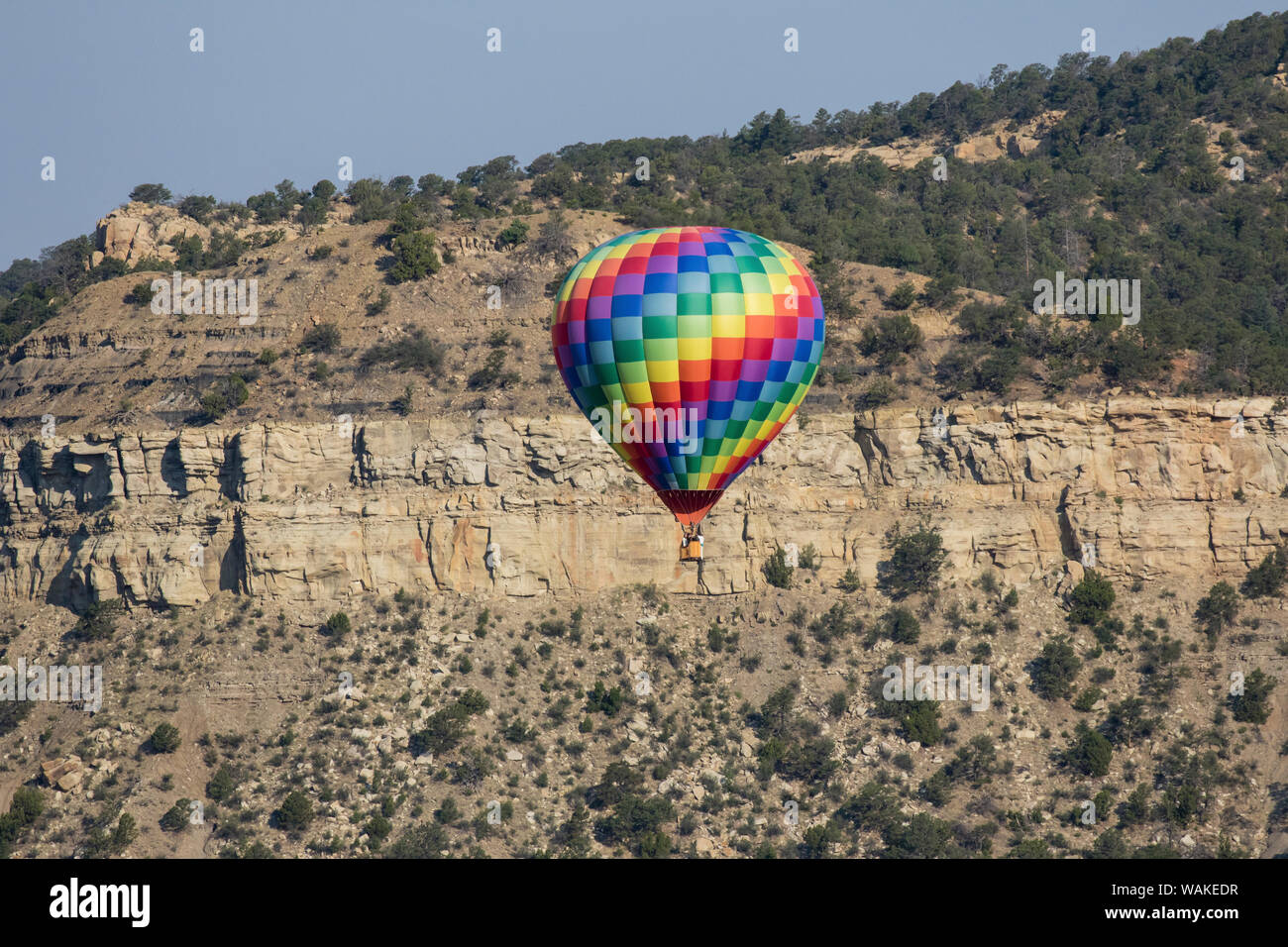 Hot Air Balloon portant la couleur pour le ciel. Banque D'Images