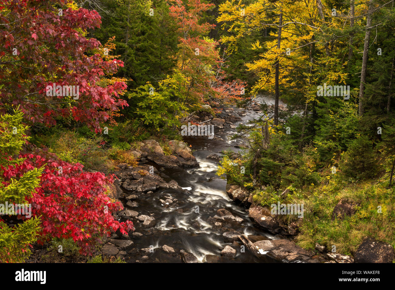 USA, New York, Adirondack State Park. Ruisseau et forêt en automne. En tant que crédit : Jay O'Brien / Jaynes Gallery / DanitaDelimont.com Banque D'Images