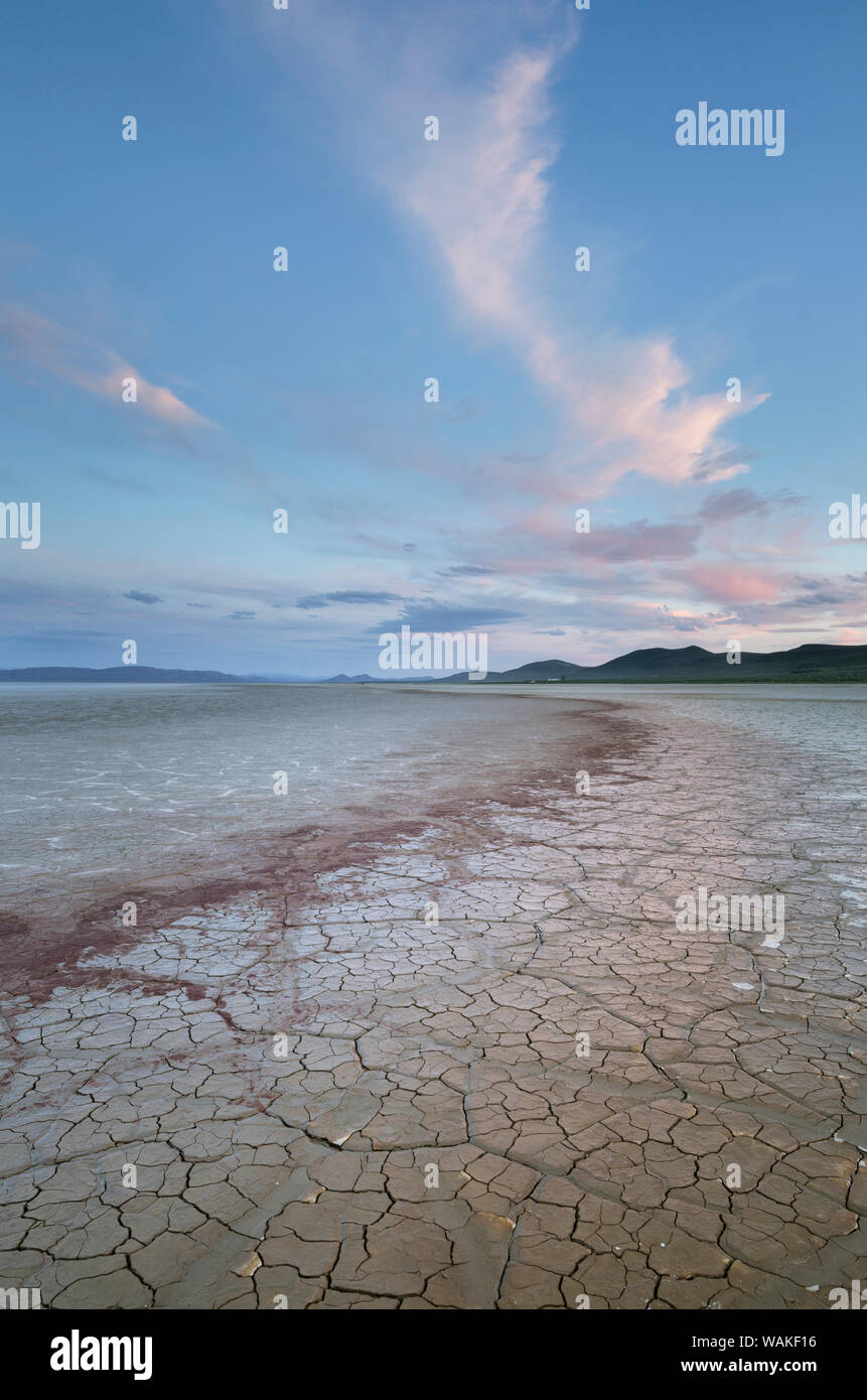 Séchage des motifs géométriques dans la boue, l'Alvord Lake, un peu profond saisonniers Alkali Lake en Harney Comté (Oregon) Banque D'Images