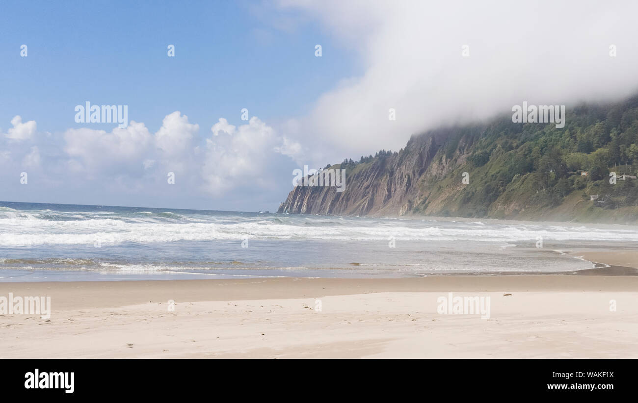 USA (Oregon), l'arctostaphyle. Plage et falaise vue panoramique. En tant que crédit : Wendy Kaveney Jaynes / Galerie / DanitaDelimont.com Banque D'Images