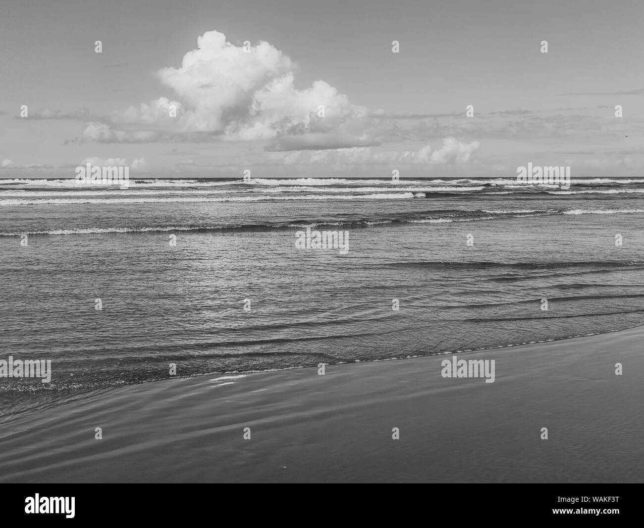 USA, Ohio, Cannon Beach. Cumulus sur l'océan en noir et blanc. En tant que crédit : Wendy Kaveney Jaynes / Galerie / DanitaDelimont.com Banque D'Images