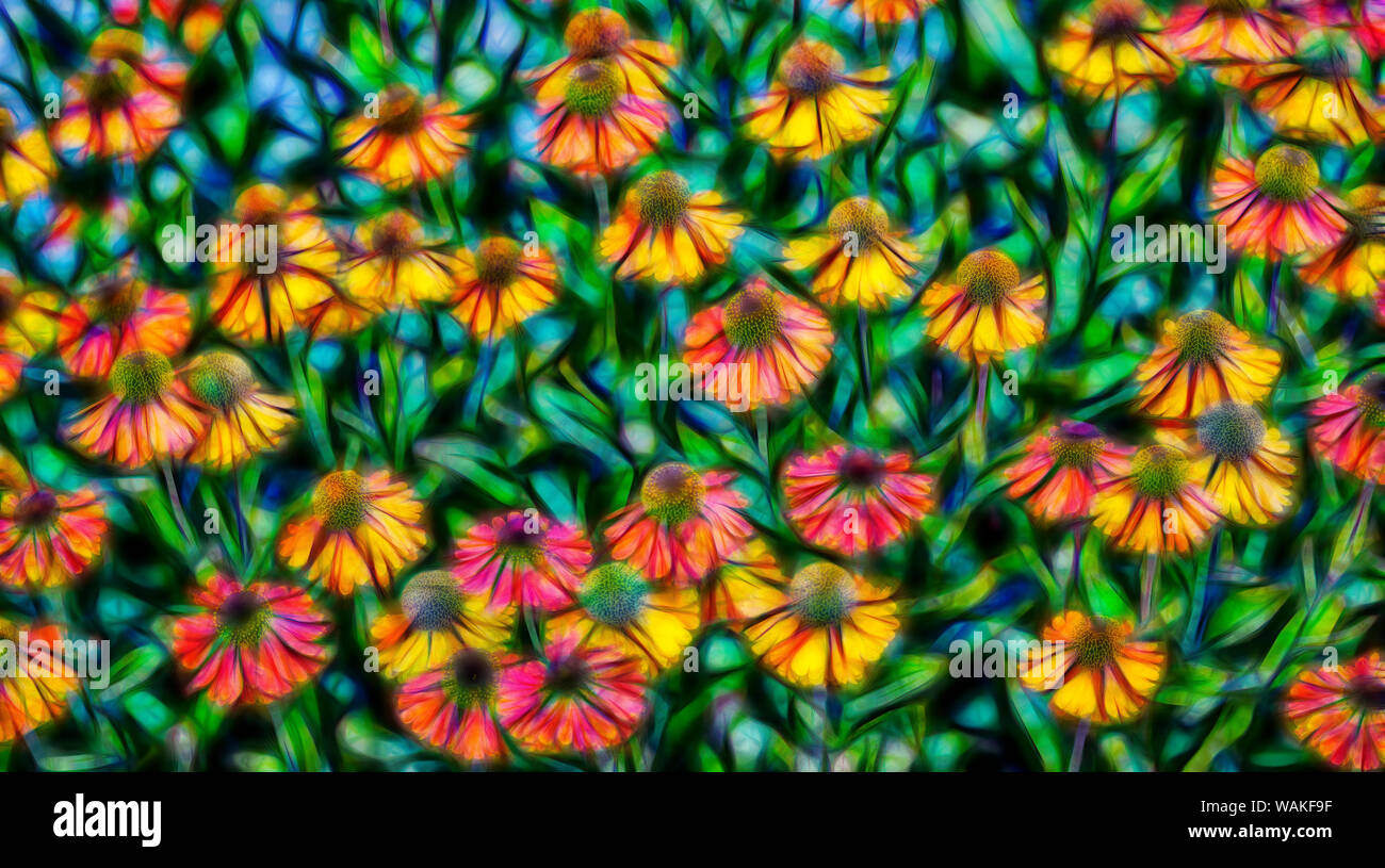USA, Ohio, Coos Bay. Résumé de jardin fleuri. En tant que crédit : Jean Carter / Jaynes Gallery / DanitaDelimont.com Banque D'Images