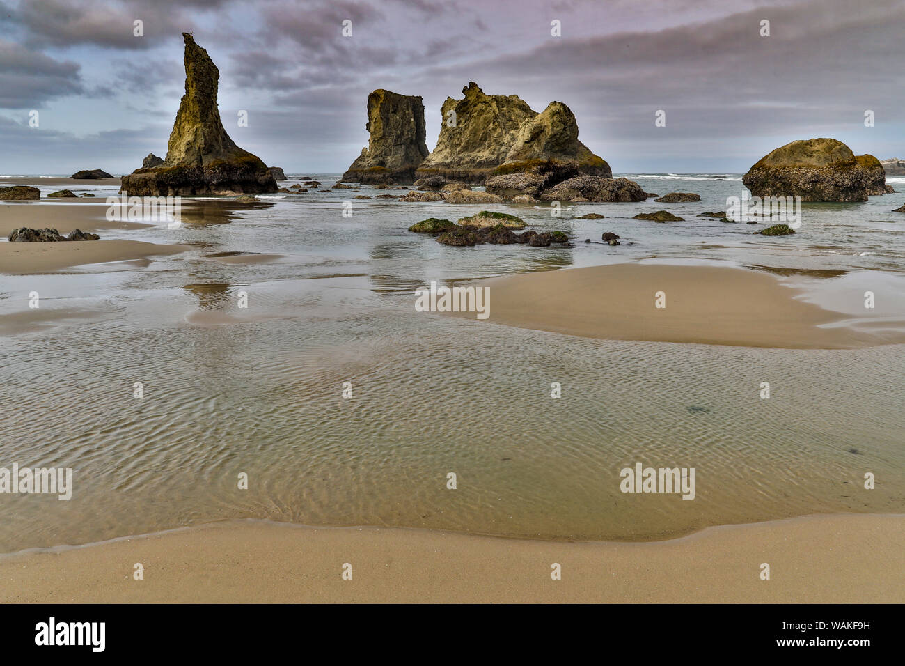 Les piles de la mer, Bandon, Oregon Banque D'Images