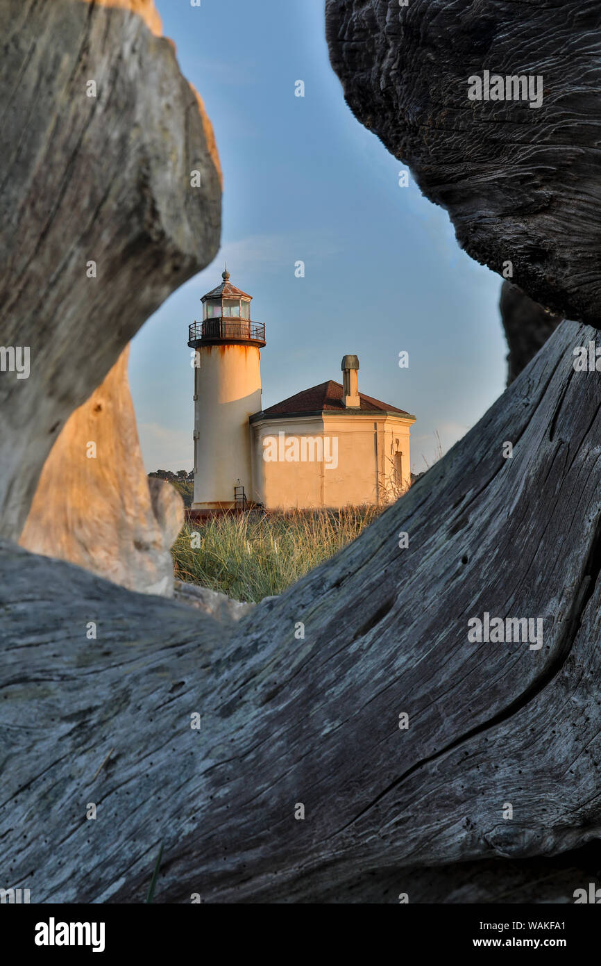 Lumière du soir par dérive de sciage phare de coquille River, parc d'état de Bullards Beach, Oregon Banque D'Images