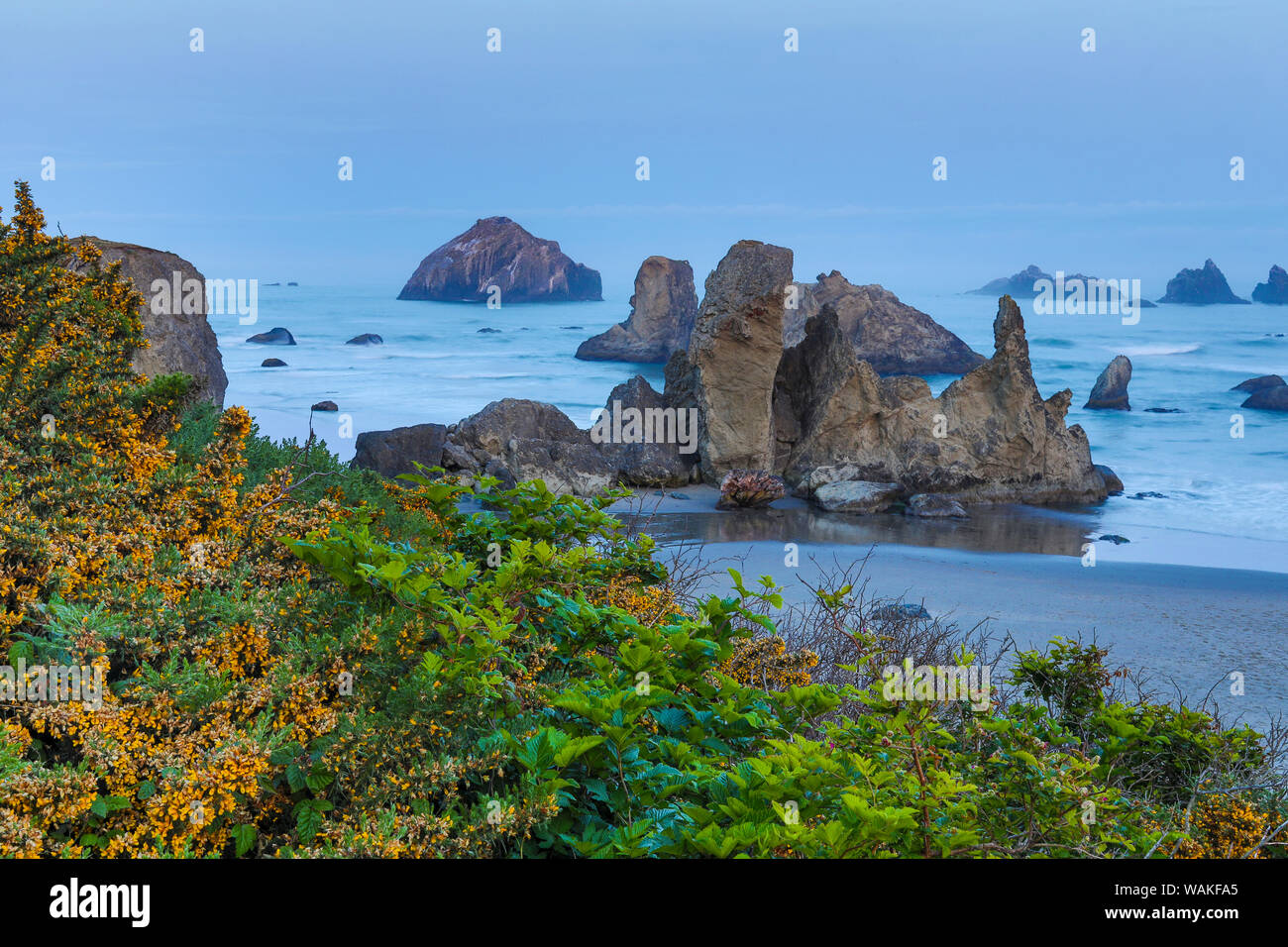 La vue sur la mer et piles Face Rock, Bandon, Oregon Banque D'Images