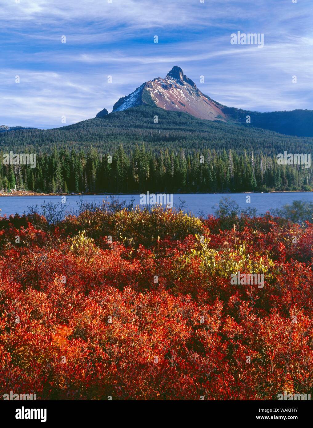 USA (Oregon). Forêt nationale de Willamette, le Mont Washington s'élève au-delà de couleur automne huckleberry et Grand Lac. Banque D'Images