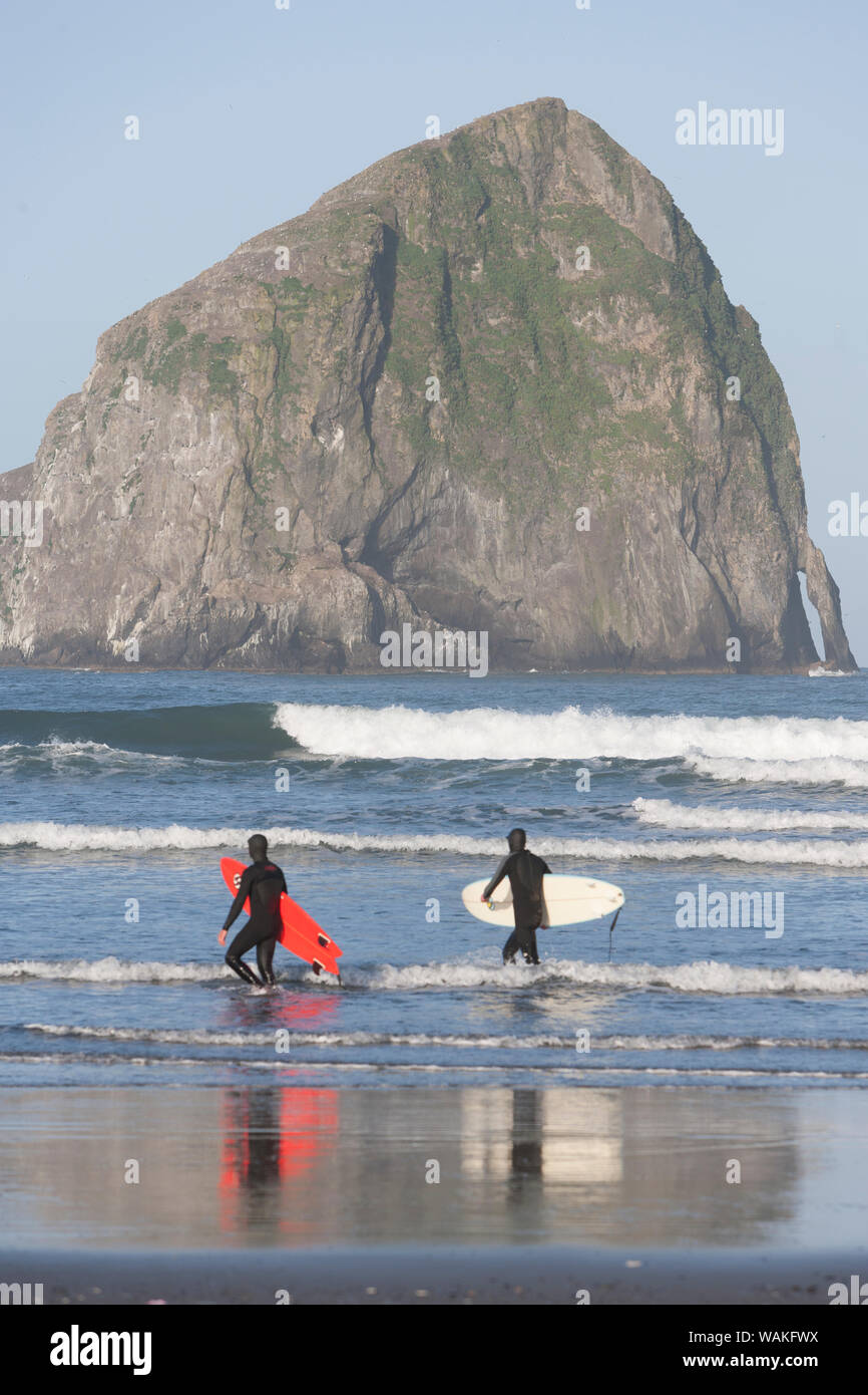 Les surfeurs, Haystack Rock, Cape Kiwanda State Park, côte de l'Oregon, USA, la fin du printemps (usage éditorial uniquement) Banque D'Images