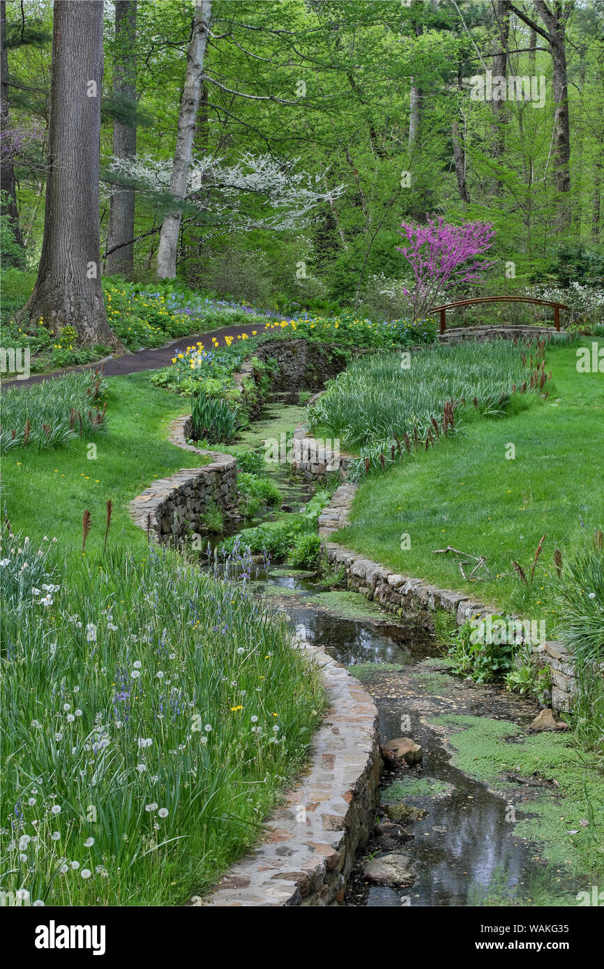 Fleurs le long de Bell's Run Creek, Chanticleer Jardin, Wayne, Michigan Banque D'Images