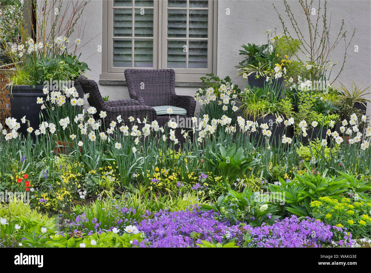 Les semis de printemps le long de Chanticleer Chanticleer, maison Jardin, Wayne, Michigan Banque D'Images