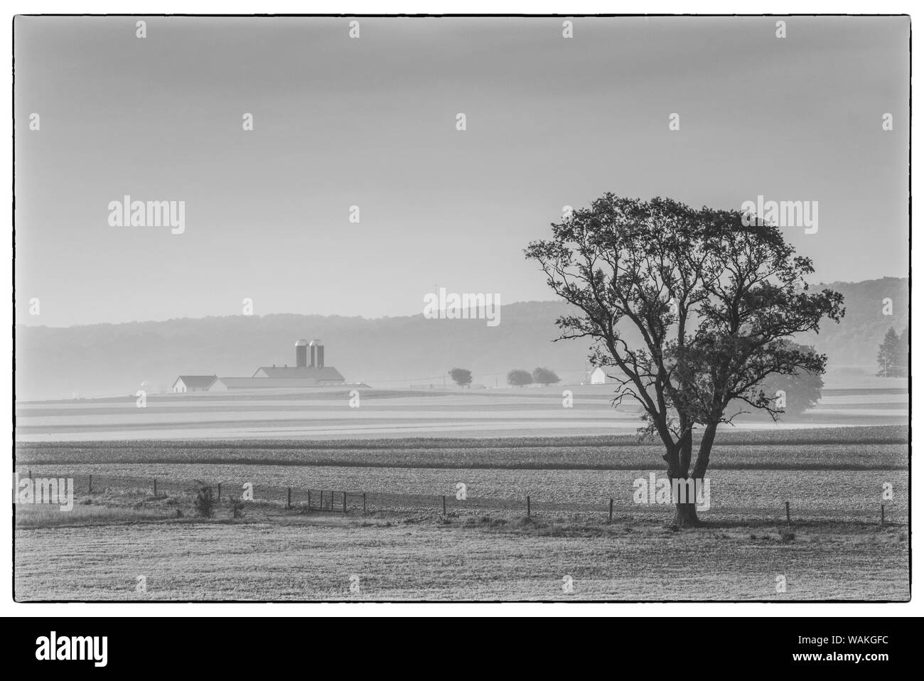 USA, New York, vue sur la ferme de Lancaster. Banque D'Images