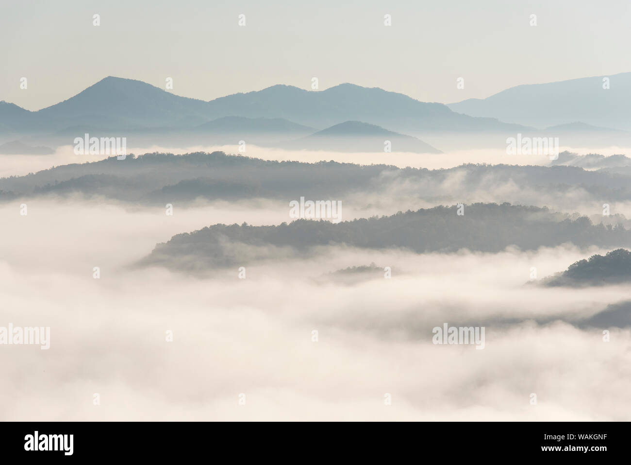 Etats-unis, parc national des Great Smoky Mountains. Nuages denses dans les vallées de Foothills Parkway. Sommet le plus haut est Thunderhead Mountain ('Rocky Top' à l'Université du Tennessee song) Banque D'Images