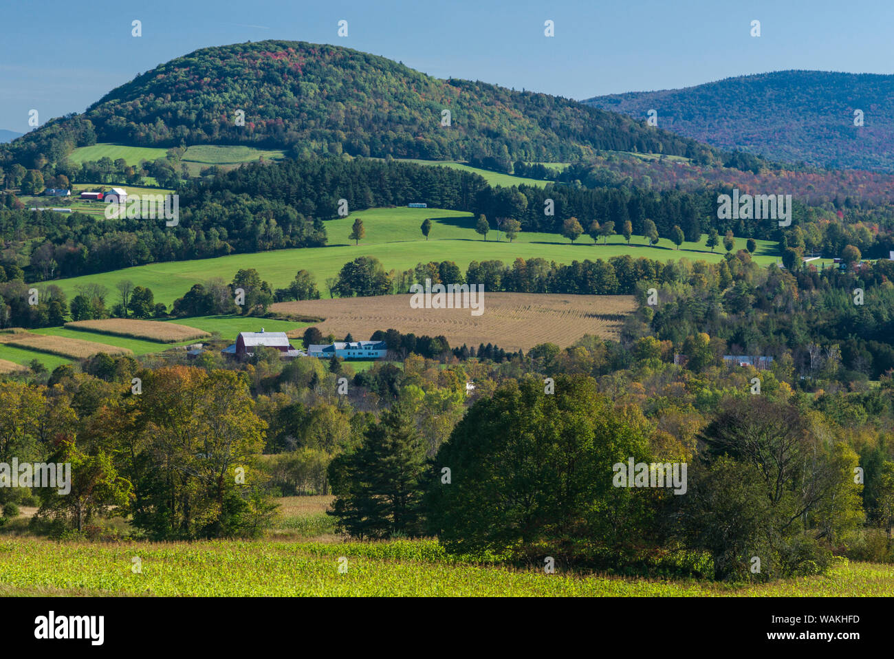 USA, New York, Peacham,. Au début de l'automne Banque D'Images