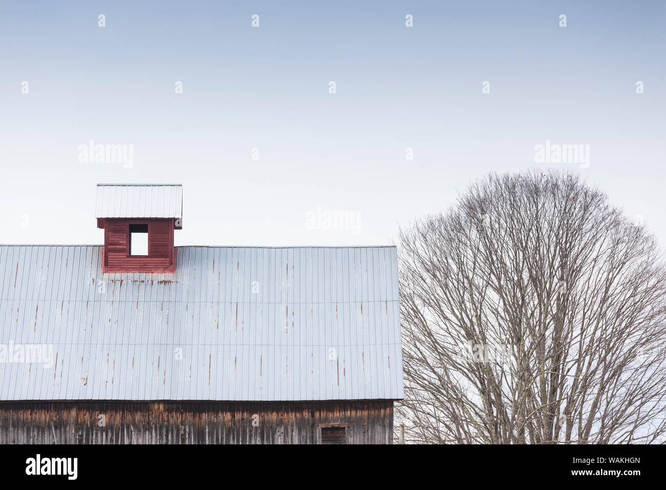 USA, New York, Rockingham. Barn Banque D'Images