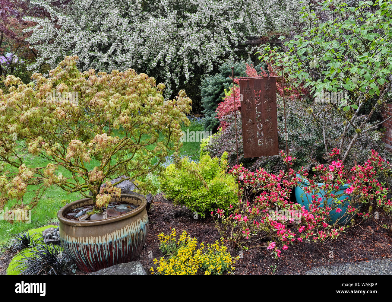 Couleur de printemps avec 'Bienvenue' metal sign, Sammamish, Washington State Banque D'Images