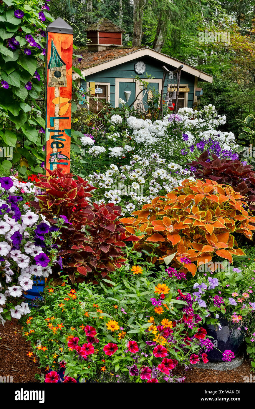 En pleine floraison jardin avec abri de jardin, Sammamish, Washington State Banque D'Images
