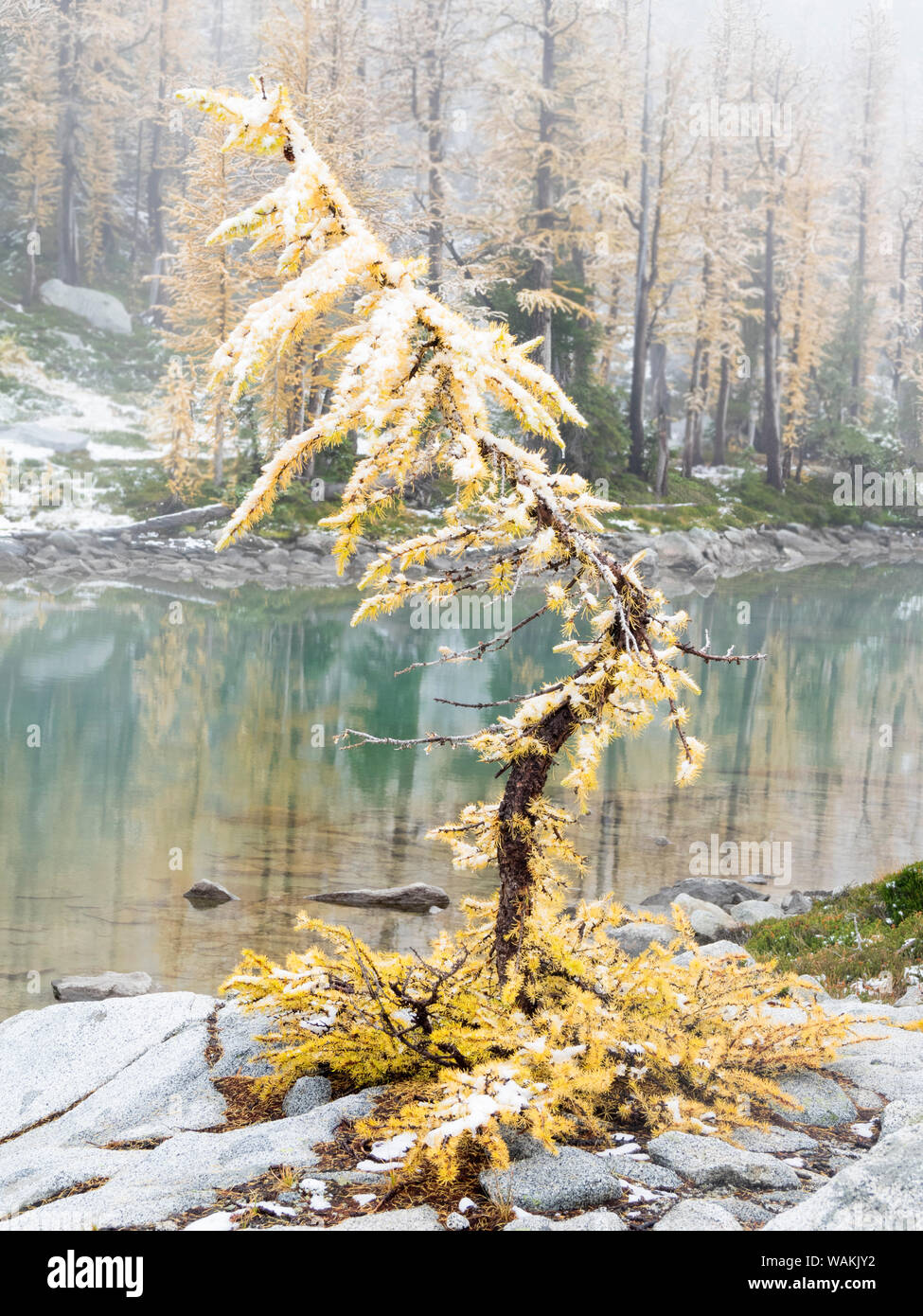 L'État de Washington, les lacs alpins désert. L'enchantement des lacs, de la neige et de mélèzes Banque D'Images