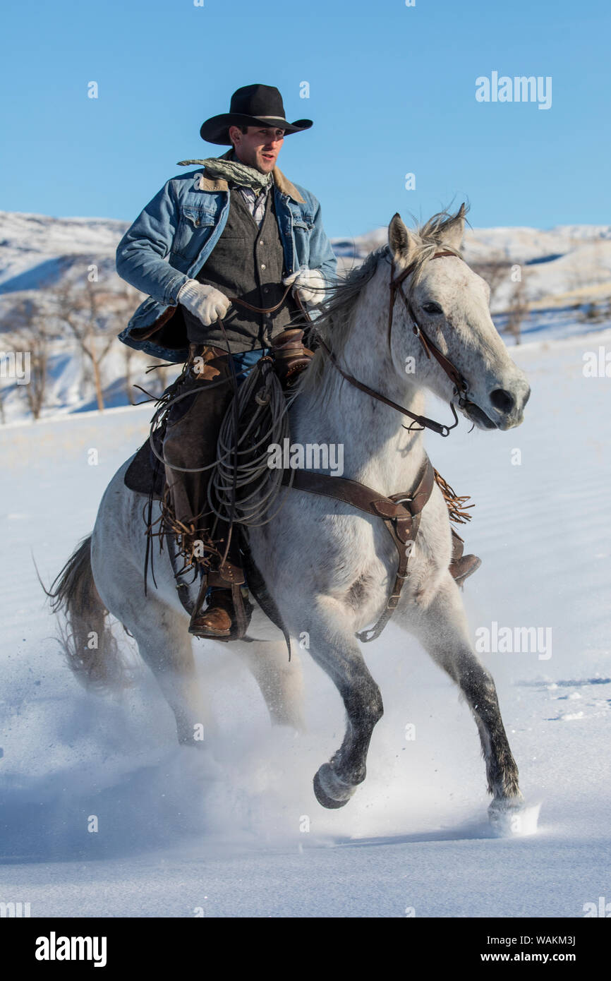 Cheval de cow-boy dur sur Hideout Ranch, Shell, Wyoming. Circonscription de cow-boy sur son cheval dans la neige. (MR) Banque D'Images