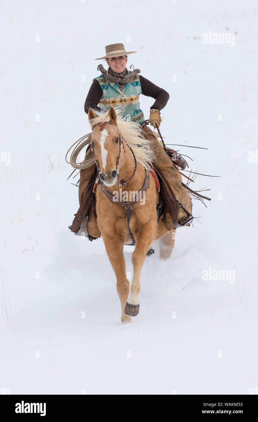 Cheval de cow-boy dur sur Hideout Ranch, Shell, Wyoming. Cowgirl à cheval. (MR) Banque D'Images