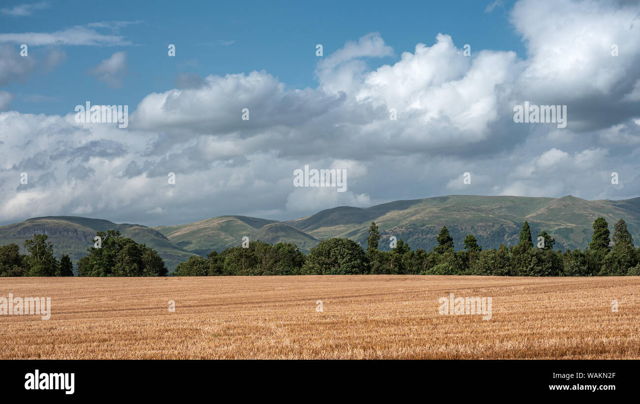 Paysage panoramique près de la ville de Stirling en Écosse avec les basses terres les monts Ochil Hills en arrière-plan Banque D'Images