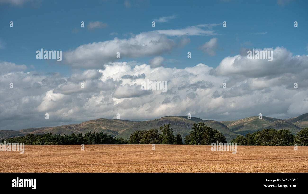Paysage panoramique près de la ville de Stirling en Écosse avec les basses terres les monts Ochil Hills en arrière-plan Banque D'Images