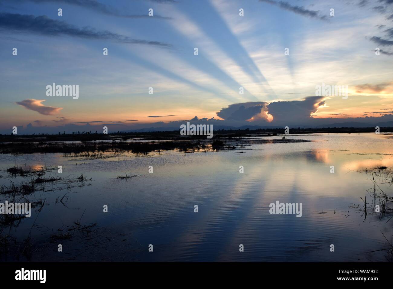 Sombre ciel bleu sur le marais au coucher du soleil, l'Horizon est orange avec tir du faisceau lumineux de derrière les nuages sombres Banque D'Images