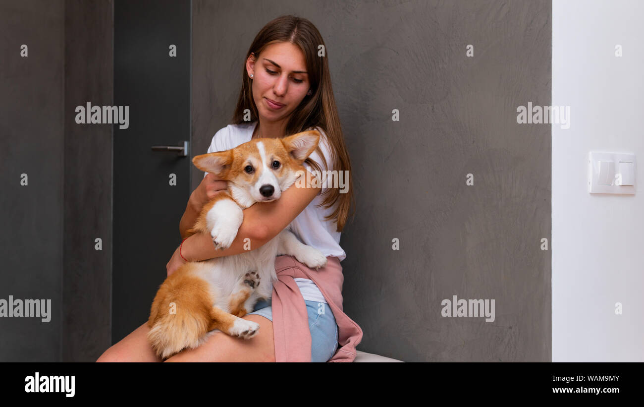 La jeune femme est assise dans l'appartement avec petit chien sur sa main.  Corgi Pembroke mignon chiot sur ses propriétaires mains, close-up Photo  Stock - Alamy