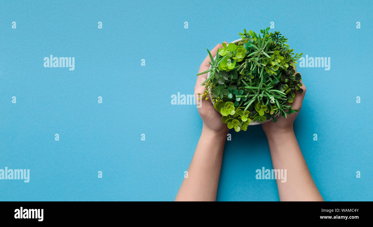 Femme tenant des usines mixtes en pot rond sur fond bleu Banque D'Images