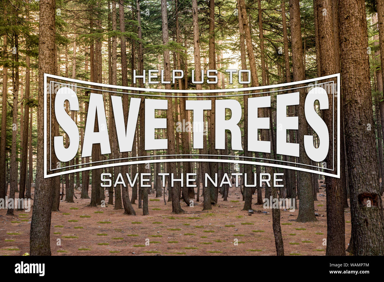 Texte de sauver des arbres, nous aider à préserver la nature Banque D'Images