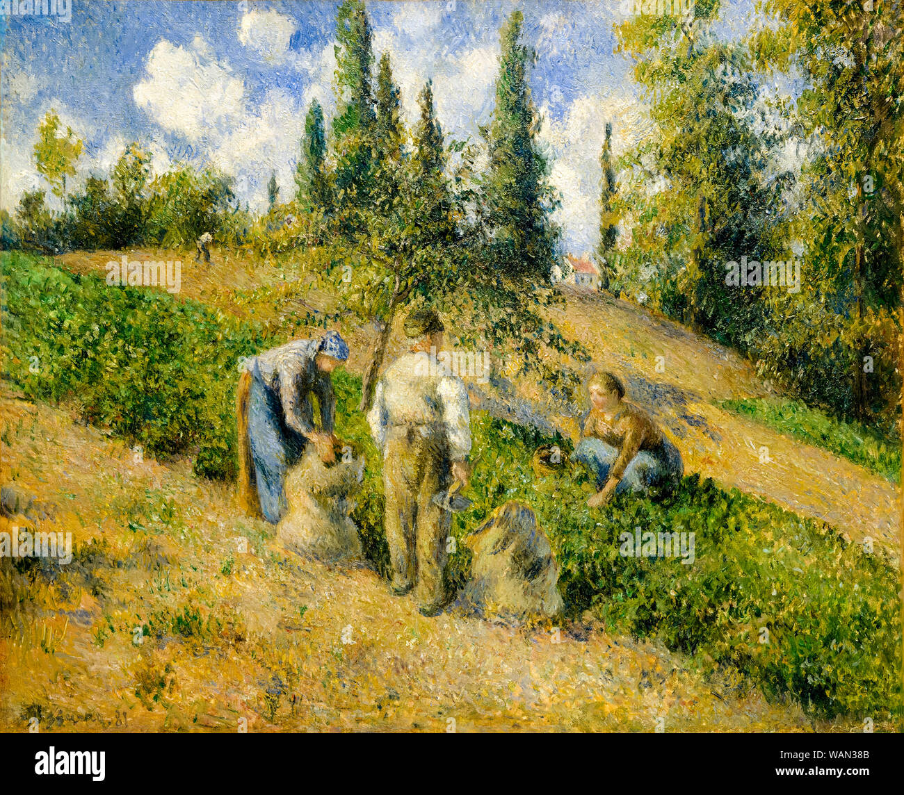Camille Pissarro, la récolte, Pontoise, peinture, 1881 Banque D'Images