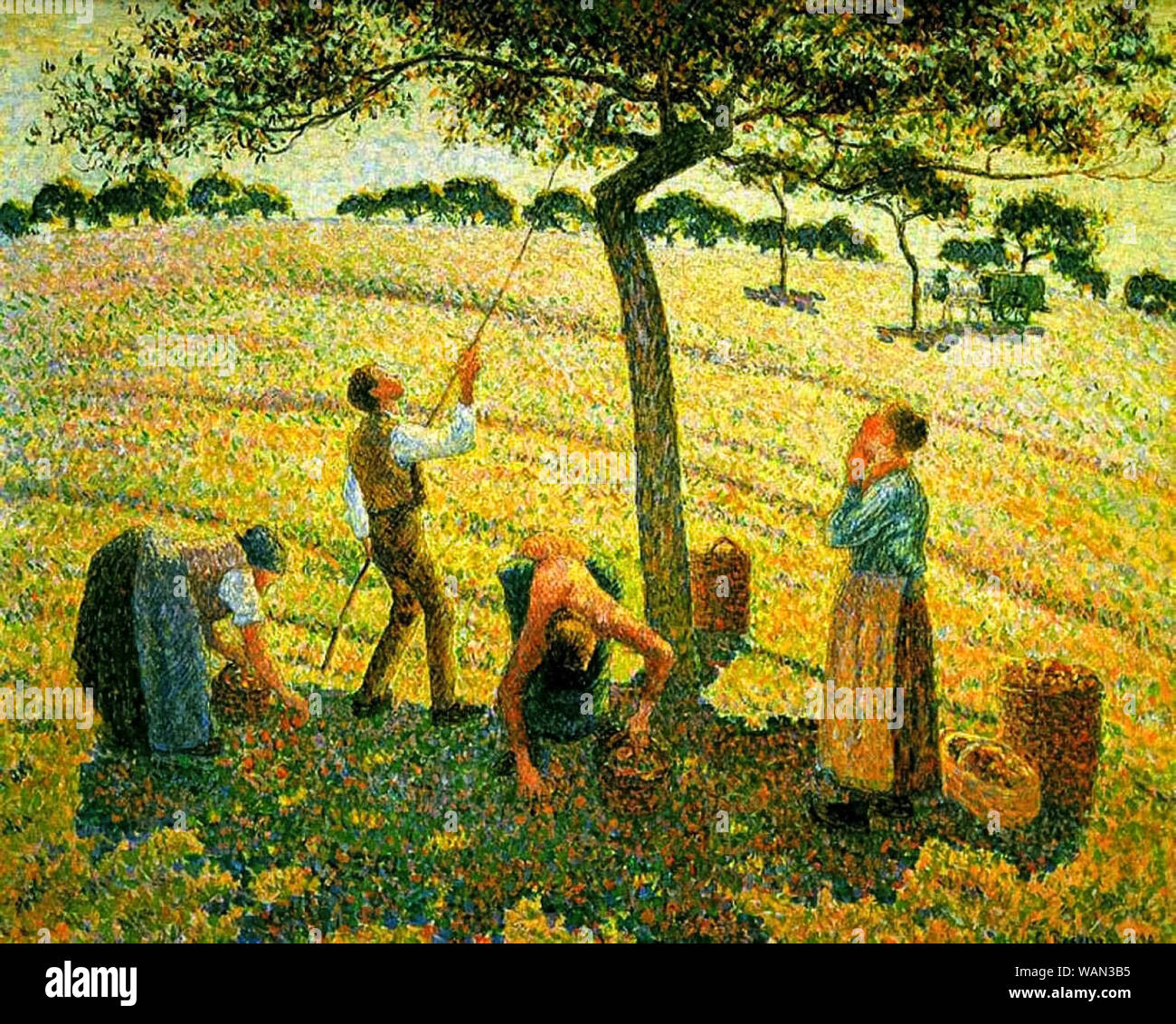 Camille Pissarro, cueillette de pommes à Eragny-sur-Epte, peinture, 1888 Banque D'Images