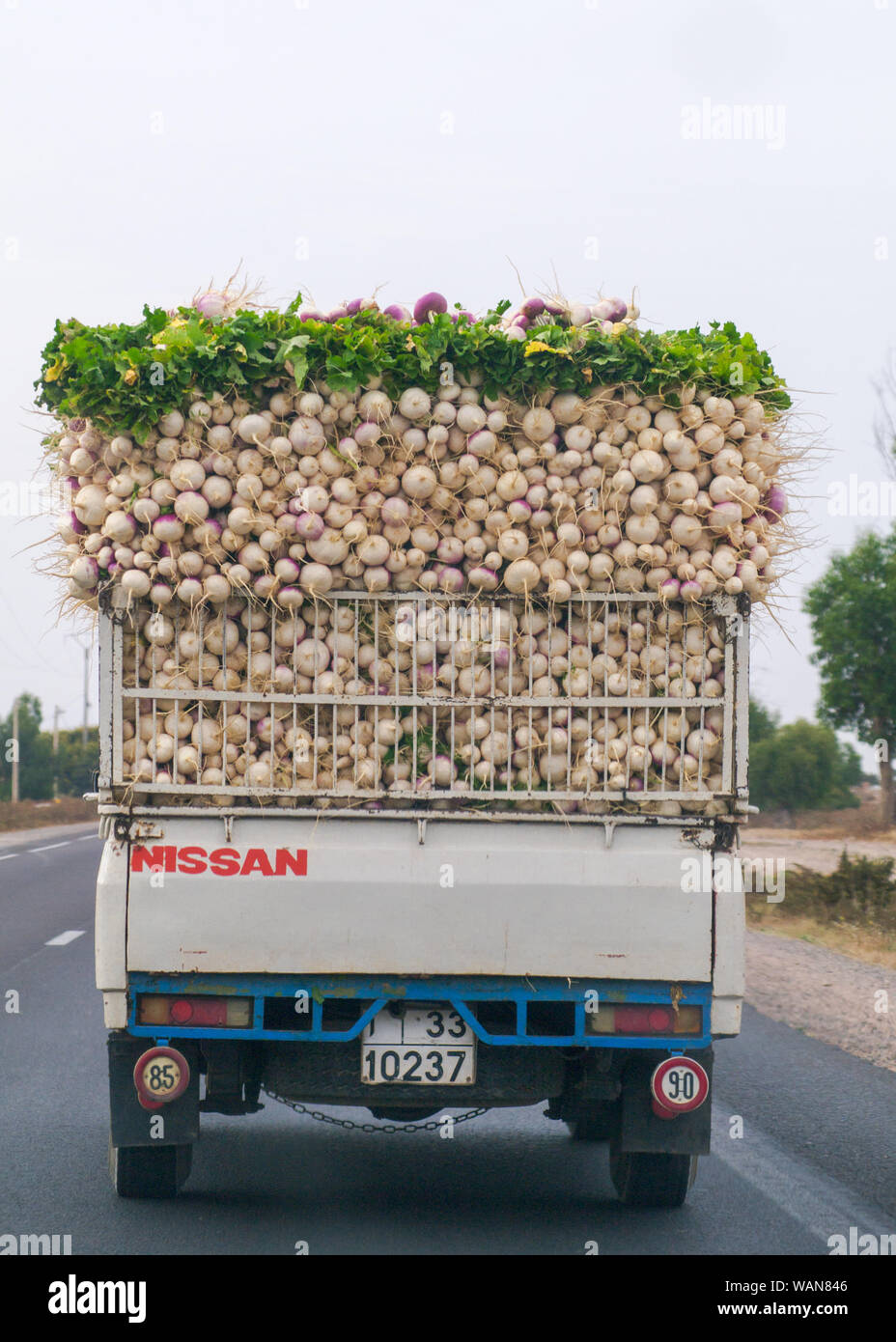 Transport de produits agricoles sur les routes de l'Afrique du Nord. Banque D'Images