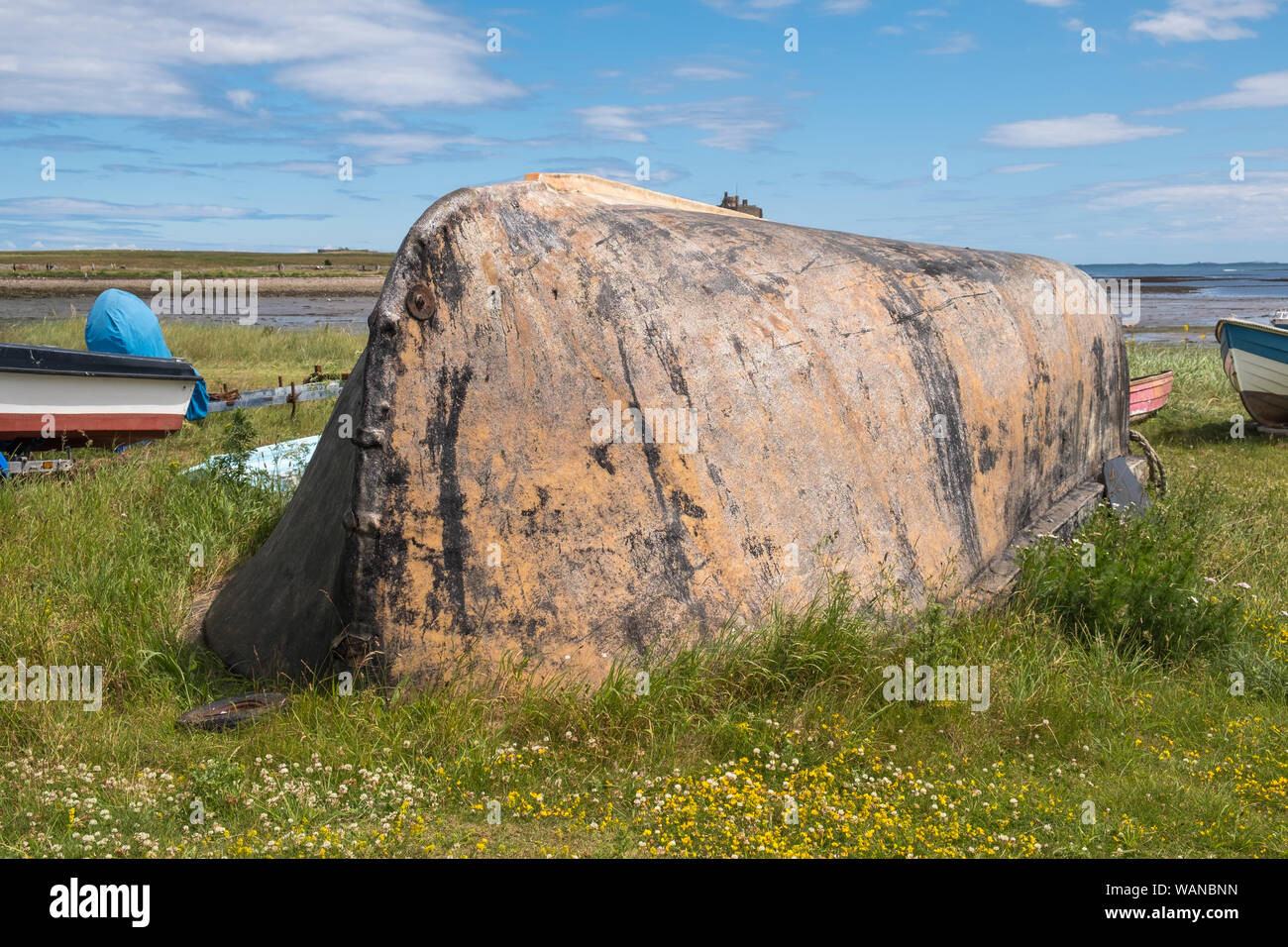 Le bateau traditionnel apporte sur l'île sacrée de Lindisfarne dans le Northumberland, Royaume-Uni sont fabriqués à partir de bateaux de pêche tournée vers Banque D'Images