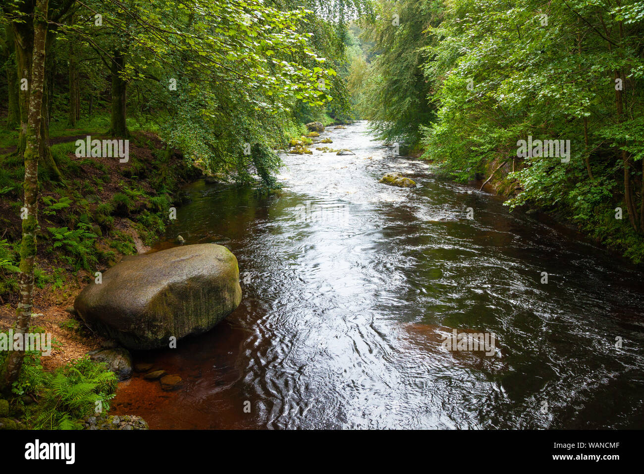 La South Esk River près du village de Cortachy, Angus, Scotland. Banque D'Images