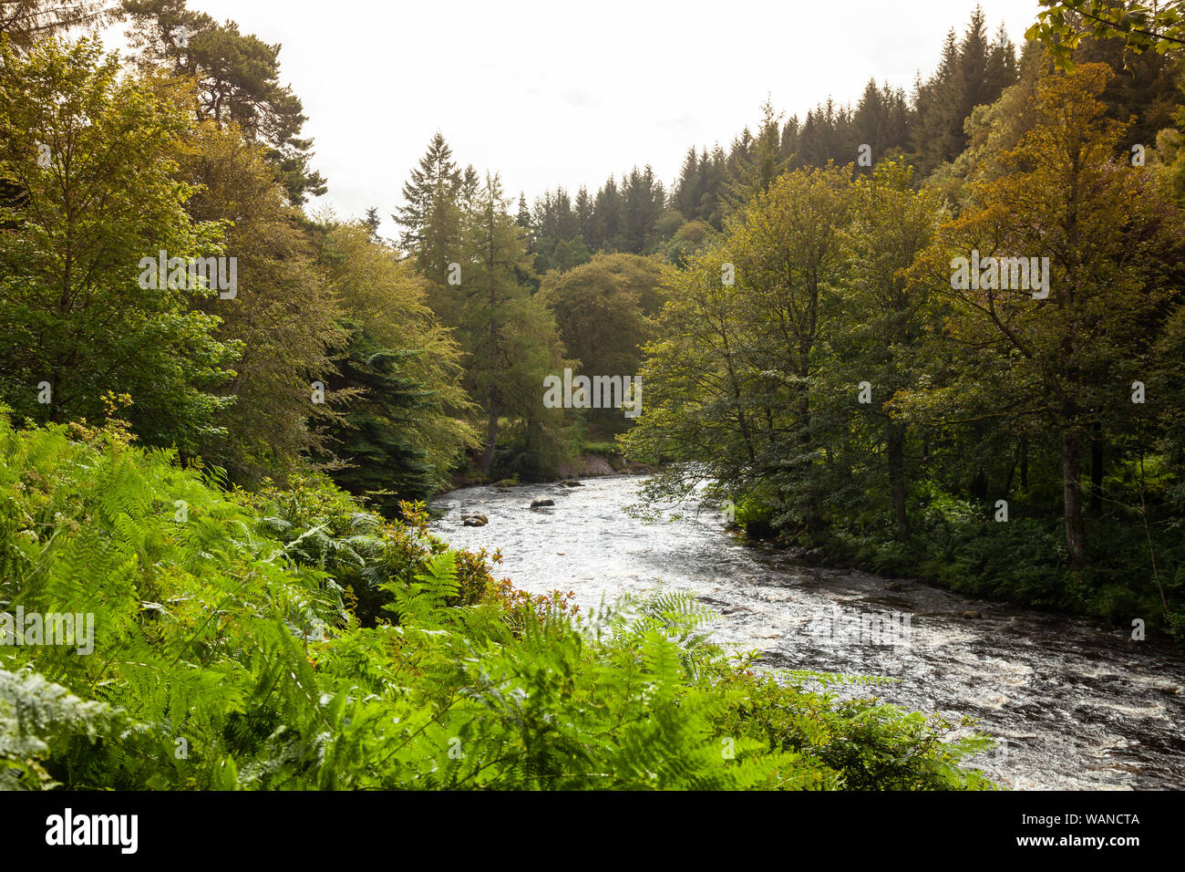 La South Esk River près du village de Cortachy, Angus, Scotland. Banque D'Images