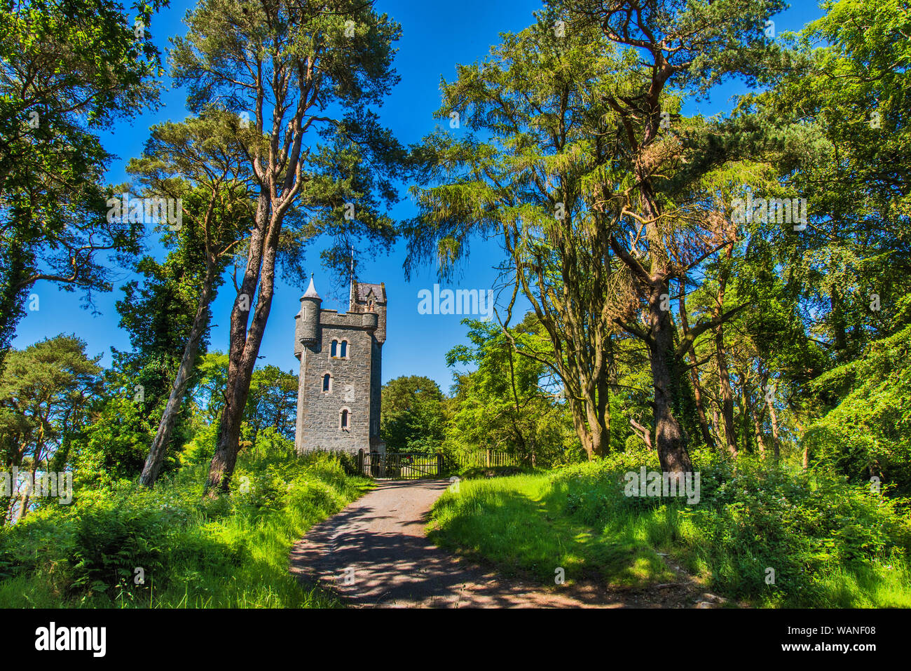 Helen's Tower à Clandeboye Bois, Bangor, comté de Down, Irlande du Nord. Banque D'Images
