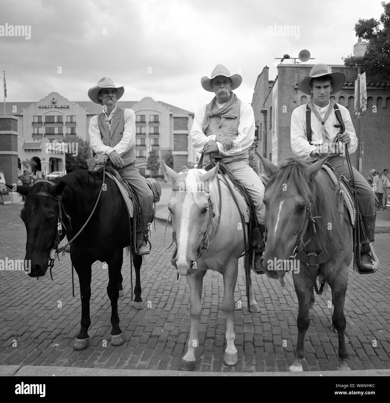 Cowpokes Maltby, Mike Mangold, David Hopper Lane, de gauche à droite à cheval, qui aide Texas Longhorn des troupeaux bovins pendant une promenade deux fois par jour (par opposition à toute exécution des taureaux) dans le quartier de la gare à bestiaux de Fort Worth, Texas Banque D'Images