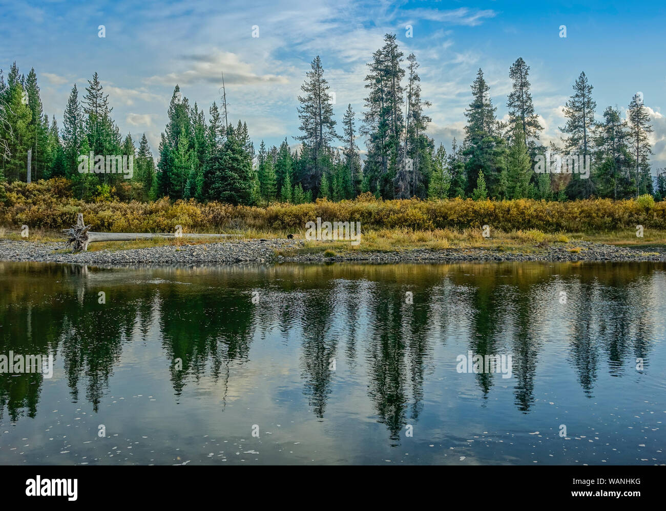 Parc National de Grand Teton, Wyoming, USA - 18 septembre 2015 : Réflexion des arbres sur le lac avec sous un ciel bleu Banque D'Images