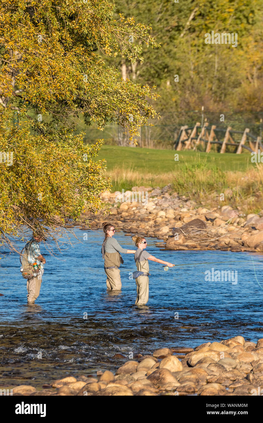 Trois femmes pêchent le long de la rivière Big Thompson dans Estes Park, Colorado Banque D'Images