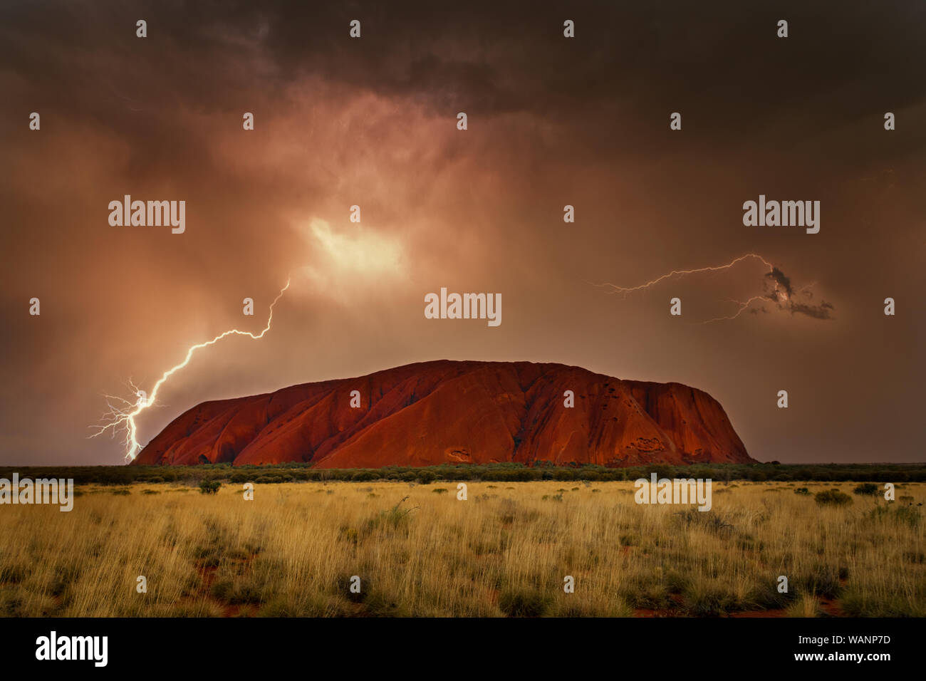 Très rarement de voir célèbre Uluru dans un orage. Banque D'Images