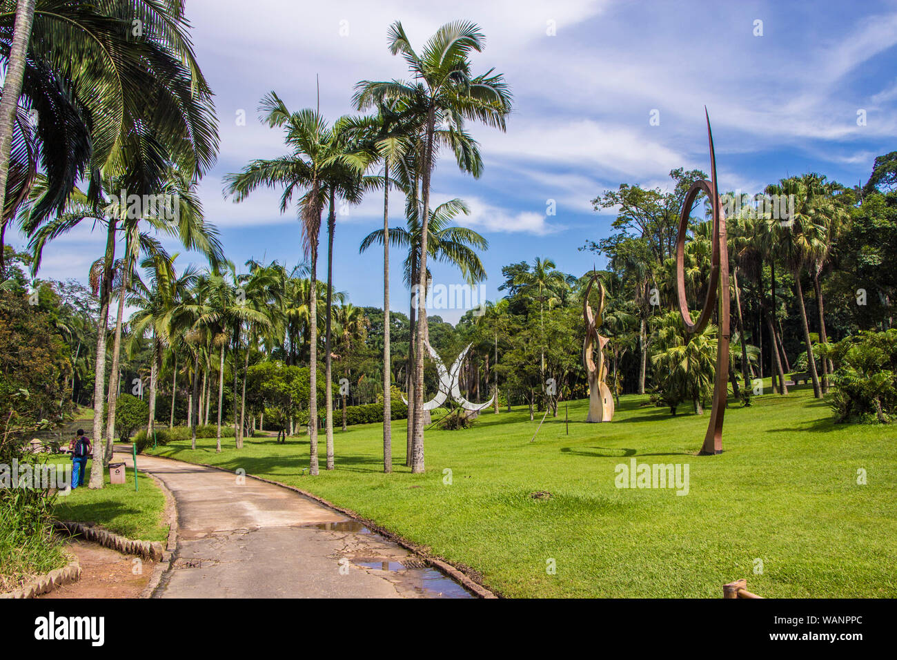 Jardin botanique, São Paulo, Brésil bota Banque D'Images